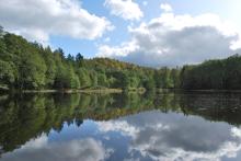 Urocze zakątki zachęcają do spacerów
