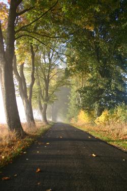 Fot. Grzegorz Goliszek