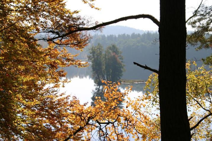 fot. Grzegorz Goliszek