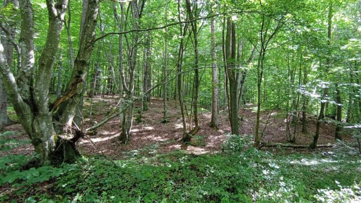 fot. Grzegorz Goliszek